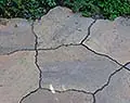 GeoArdesia Alivo - Topproduct