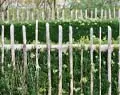 Dé 6 tips voor een landelijke tuin | Goed beoordeeld