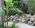 Veel gekozen - Hoe maak je een natuurlijke tuin?