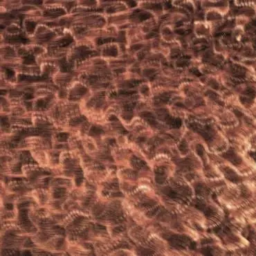 HomapalHomapal 401/200 - Veel gevraagd