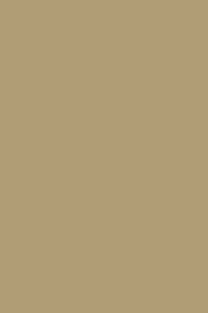 DuropalDuropal (Pfleiderer) HPL U15010 SD - Speciale deal