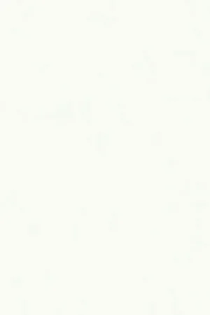 Speciale deal | UnilinUNILIN vochtwerend spaanplaat 0WE31 CST