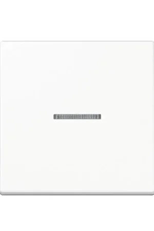 Flitsaanbieding | Jung Home bedieningswip, A range, 1-voudig, alpin wit