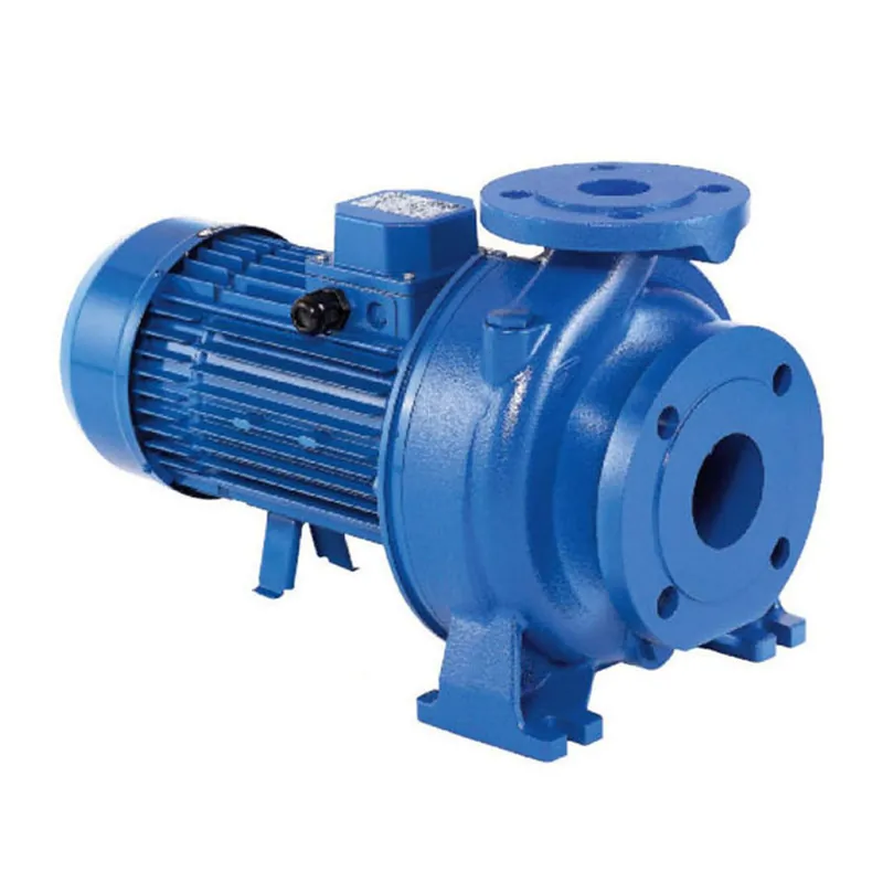 Aanbieding | Ebara normaalzuigende centrifugaalpomp, gietijzer, 3D 50-125/3,0, 3 kW, 400 V