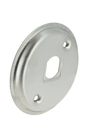 Bonfix renovatie gevelplaat, rvs, voor vorstvrije buitenkraan 15356087 en 15144229, 110 mm | Hoge kwaliteit
