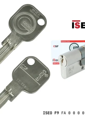 Hoge kwaliteit | Extra sleutel voor eigenprofiel J12H136 Iseo F9 cilinders met certificaat SKG3
