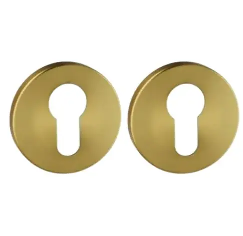 Set van twee pc-plaatjes ø52x6mm Permafix PVD goud - Beperkte voorraad