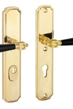 Aanbieding | SKG3 PC72 kruk/kruk op schild Roman/Nouveau rechts + kerntrekbeveiliging messing gelakt/messing PVD