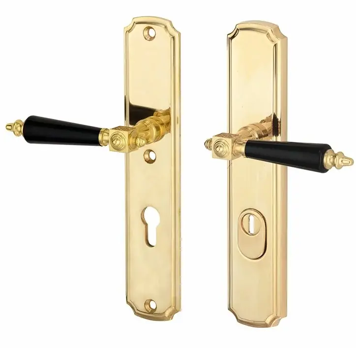 SKG3 PC72 kruk/kruk op schild Roman/Nouveau links + kerntrekbeveiliging messing gelakt/messing PVD | Mis het niet
