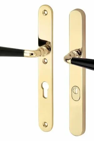 Alleen vandaag | SKG3 PC55 kruk/kruk op smalschild Antique ebben links + kerntrekbeveiliging messing gelakt/messing PVD