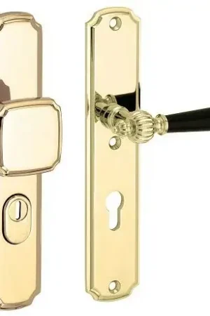 Actie loopt bijna af | SKG3 PC55 knop/kruk op schild Nouveau ebben rechts + kerntrekbeveiliging messing gelakt/messing PVD