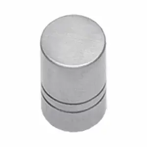Profiteer nu | Intersteel knop recht Ø13mm rvs