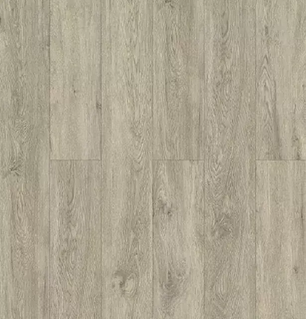 Stech Klik PVC 1220,2x228x4mm 0,2 Eiken Geborsteld Lichtgrijs | Beste prijs