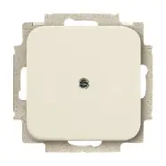 Direct kopen | Busch Jaeger 2538-212 blinde centraalplaat met draagring Crème-wit