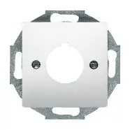 Aanrader | Busch-Jaeger 2533-866 centraalplaat met draagring pure stainless steel