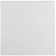 Net toegevoegd | Berker 16201909 S.1/B.3/B.7 Wip polarwit mat
