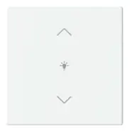 Aanrader - Busch Jaeger LFDW/A.1.63.11-884 Future Linear Afdekking 1-voudig wip voor keypad met symbool “dimmen" Studiowit mat
