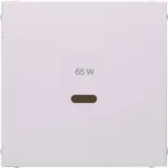 Berker 48601909 S.1/B.3/B.7 Centraalplaat voor USB Polarwit Mat | Beperkte voorraad
