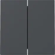 Gira 329528 Systeem 55 Wip 2-voudig Antraciet - Korting