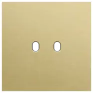 Aanbieding - Niko 227-57102 Enkelvoudige afdekplaat voor tweevoudige schakelfuncties Toggle Alu gold brushed