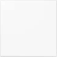 Jung LS 961 B WW Afdekking blind (klembevestiging) Alpine Wit | Direct bestellen
