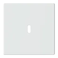 Busch Jaeger 6479-84 Platform 63 Centraalplaat USB voeding 1-voudig Studiowit mat - Net toegevoegd