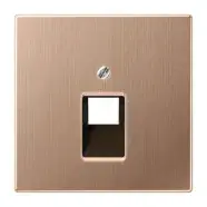 Actie | Jung BRG 2969-1 UA Afdekking voor IAE/UAE aansluitdozen 1x8 LS range Geborsteld brons