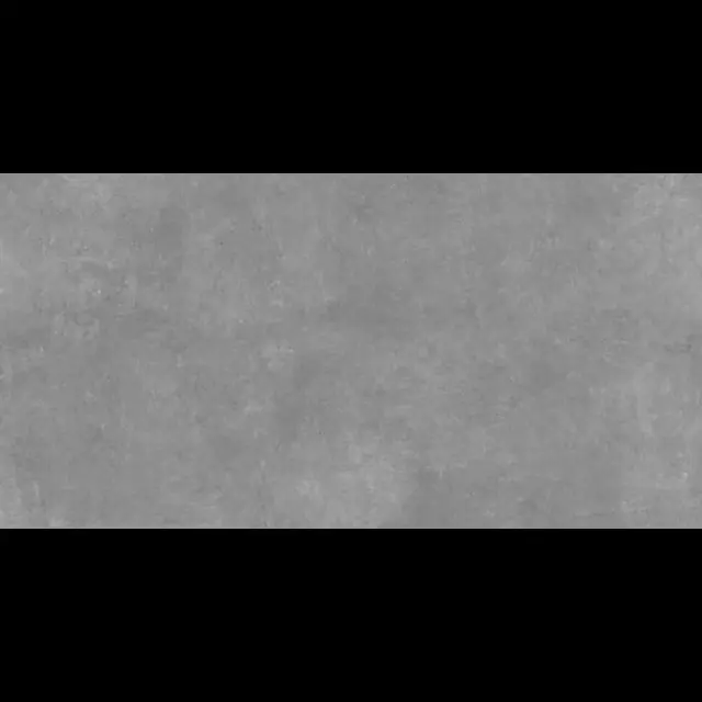 Buitentegels keramisch Ark silver 45x90x2 cm - Op voorraad