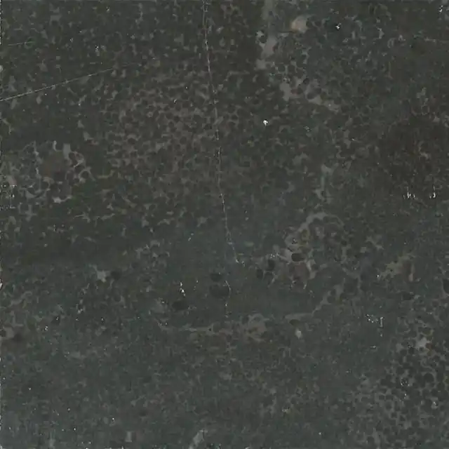 Natuursteen limestone glans zwart 30x30 cm | Bespaar nu